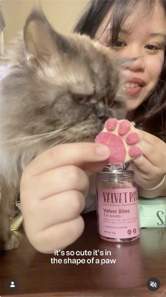 A frame from forestfairyjamie's Velvet Paws unboxing with Chewy the cat.