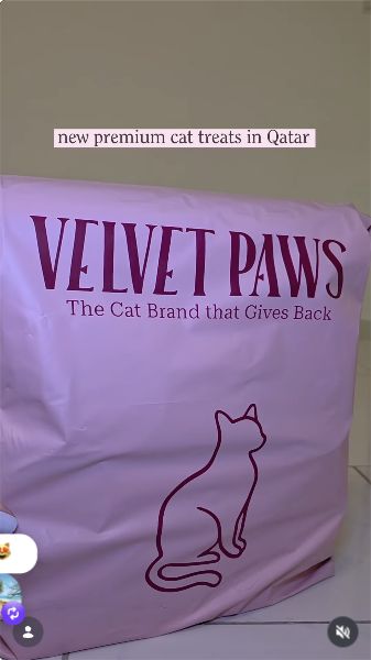 A pink Velvet Paws delivery bag in glendasomewhere's video of gifted products for her cat.